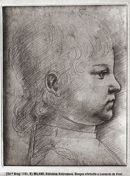 Study for a young boy's portrait. Drawing attributed to Leonardo da Vinci's circle, located at the Ambrosian Library in Milan