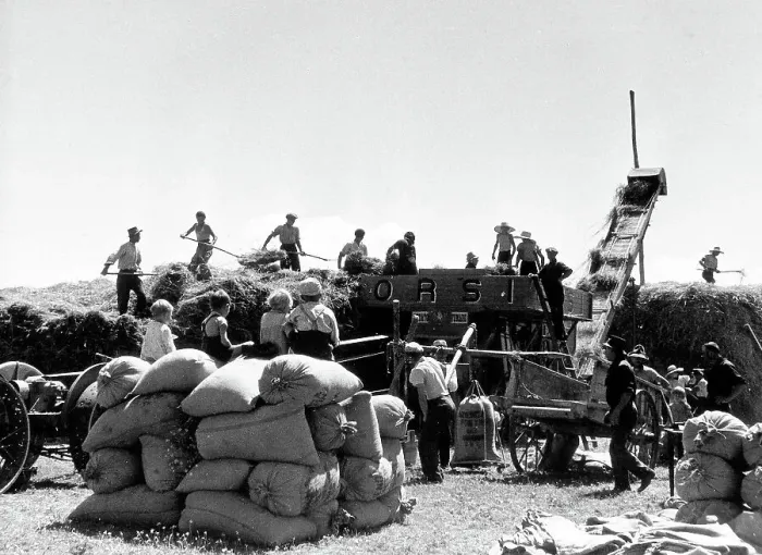 Framed Print : Threshing of wheat