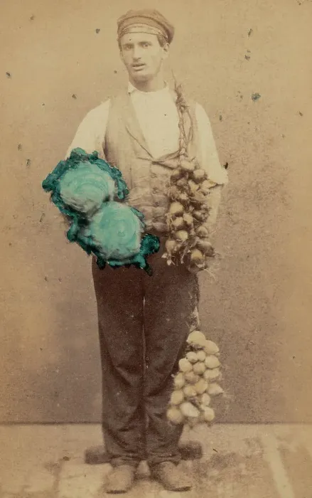 Framed Print : Vendor vegetable Framed Print : Vendor vegetable
