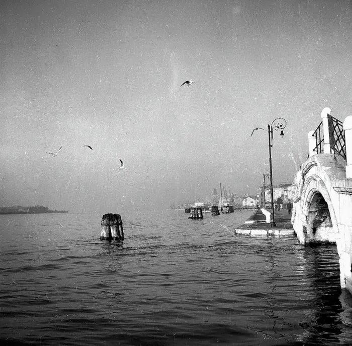 Framed Print : View of Venice with seagulls Framed Print : View of Venice with seagulls