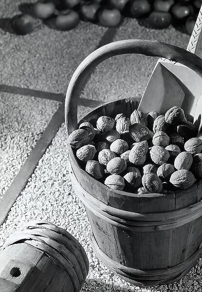 A wooden bucket containing nuts. All of them are stamped with the mark of the Italian Federation of Agricultural Producers Consortia. In the background there are some apples
