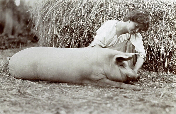 Young peasant-woman kneeling down beside a small pig