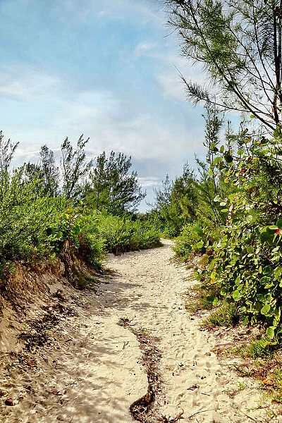 Bermuda, Secluded Beach path