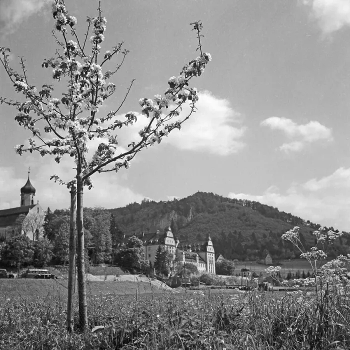 Framed Print : Beuron Benediktinerkloster Print, Black and White Photo Framed Print : Beuron Benediktinerkloster Print, Black and White Photo