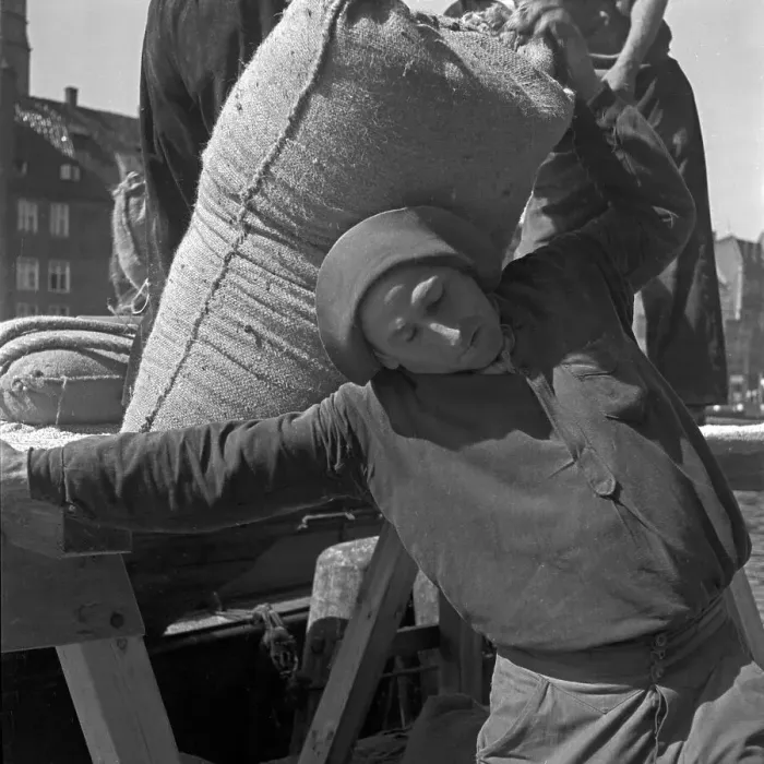 Framed Print : Danzig Harbor Worker Loading Sacks Print Framed Print : Danzig Harbor Worker Loading Sacks Print