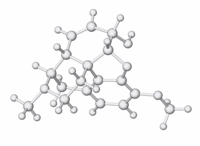 Framed Print : Codeine Print, Molecular Model Framed Print : Codeine Print, Molecular Model