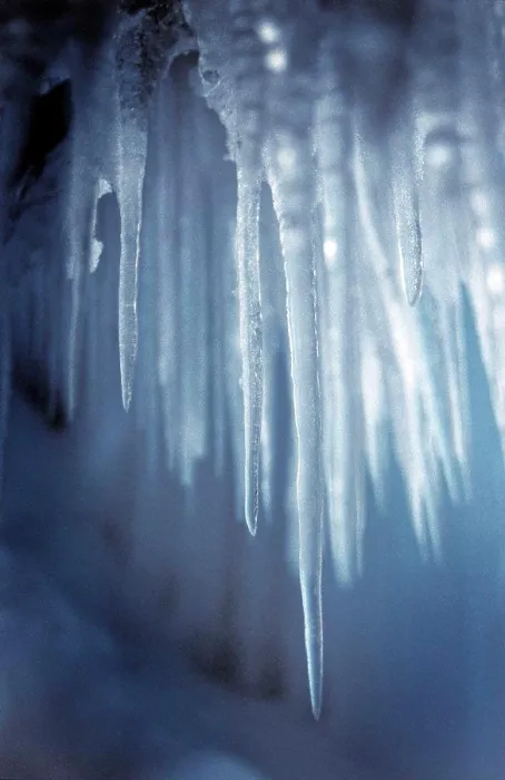 Framed Print : Icicle Icicle Print from SuperStock Framed Print : Icicle Icicle Print from SuperStock