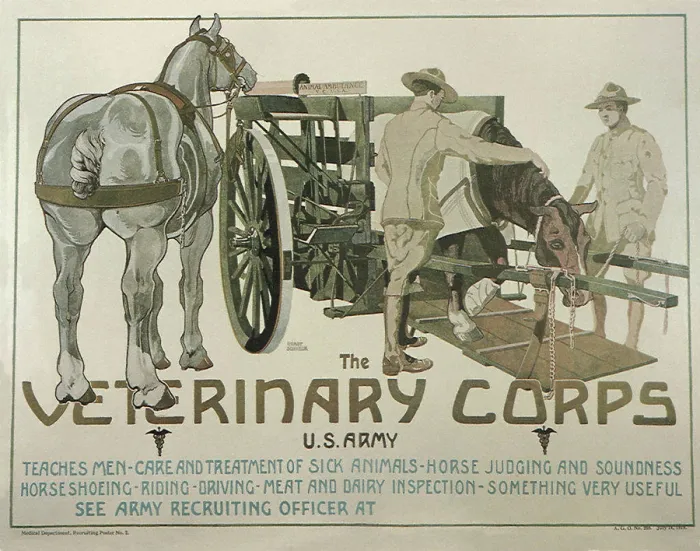 Framed Print : The Veterinary Corps Print Framed Print : The Veterinary Corps Print