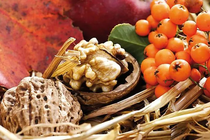 Framed Print : Walnuts and firethorn in straw Print Framed Print : Walnuts and firethorn in straw Print