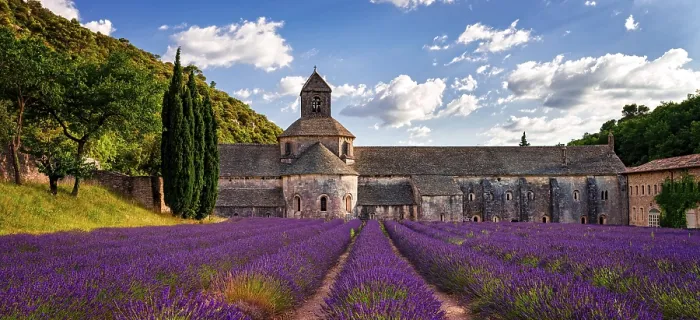Framed Print : Abbey Print from imageBROKER Framed Print : Abbey Print from imageBROKER