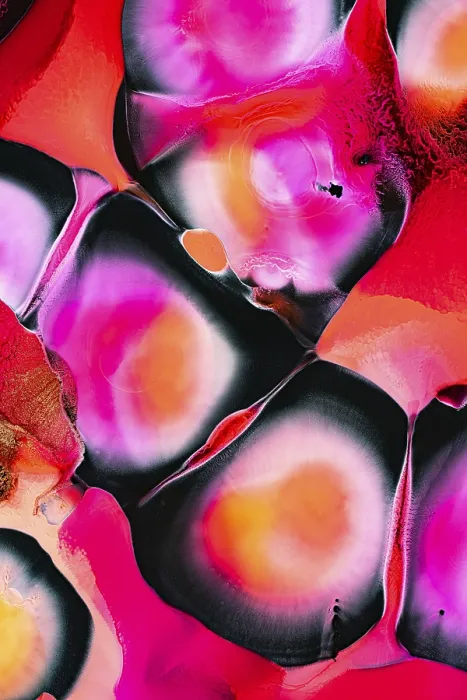 Framed Print : Vivid Pink and Orange Abstract Print Framed Print : Vivid Pink and Orange Abstract Print
