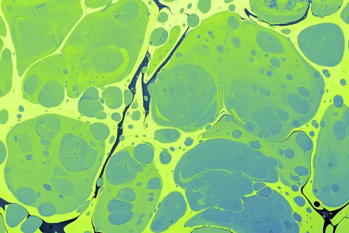 Framed Print : Abstract Marbling Print for Fabric Framed Print : Abstract Marbling Print for Fabric