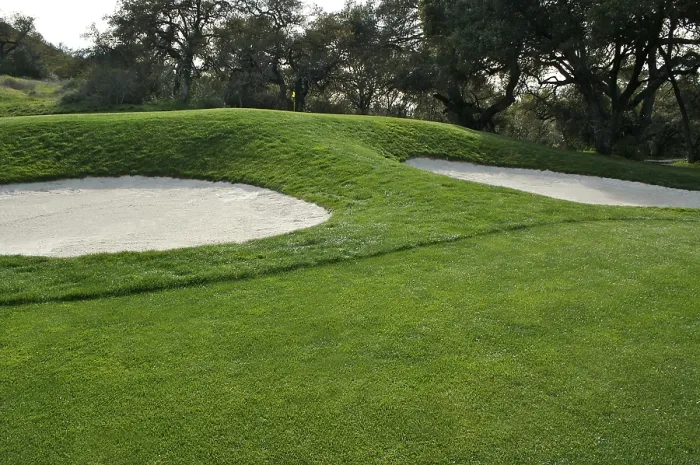Framed Print : Golf Course Bunkers Spring Day Print Framed Print : Golf Course Bunkers Spring Day Print