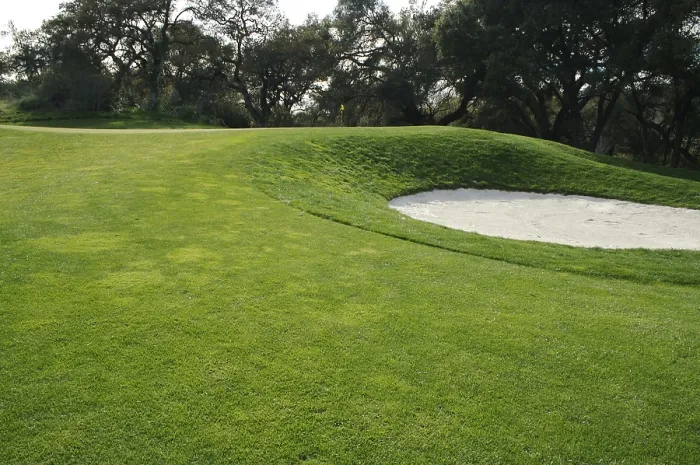 Framed Print : Golf Course Bunkers Spring Day Print Framed Print : Golf Course Bunkers Spring Day Print