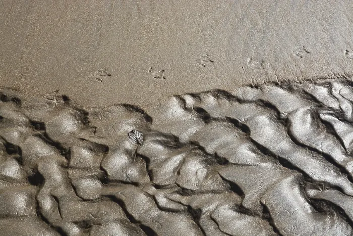 Framed Print : Abstract Sand Pattern Print - Seaside Landscape Detail Framed Print : Abstract Sand Pattern Print - Seaside Landscape Detail