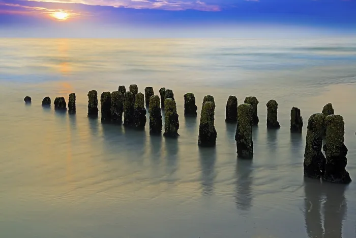 Framed Print : Algae-covered groynes at sunset on Rantum beach, Print Framed Print : Algae-covered groynes at sunset on Rantum beach, Print
