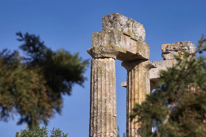 Framed Print : Ancient Columns with Trees, Nemea, Greece Print Framed Print : Ancient Columns with Trees, Nemea, Greece Print