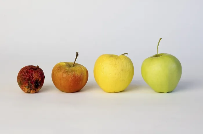 Framed Print : Apple Aplples Print