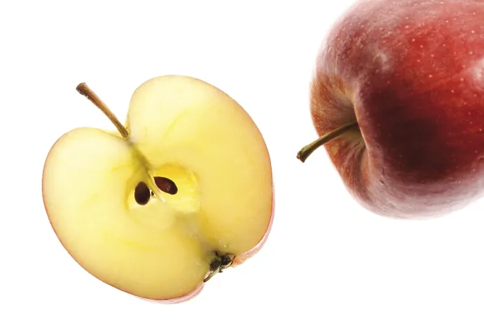Framed Print : Apple and Apple Slice Print Framed Print : Apple and Apple Slice Print