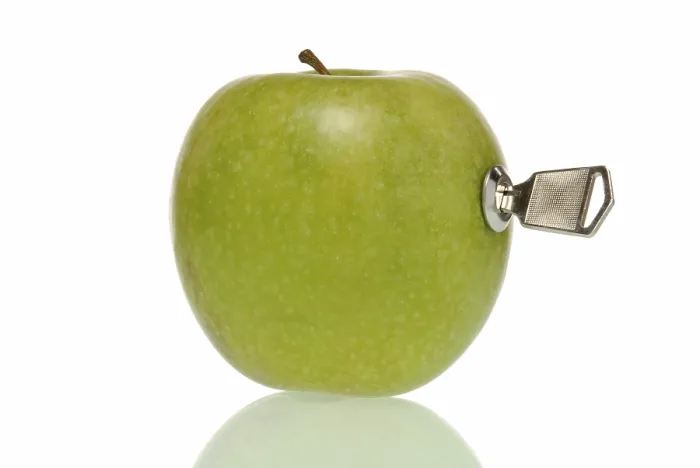 Framed Print : Apple with Lock and Key Print Framed Print : Apple with Lock and Key Print