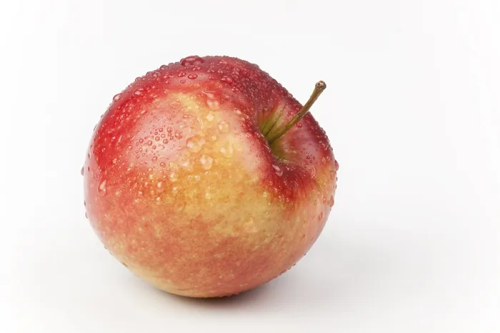 Framed Print : Apple (Malus) Print Framed Print : Apple (Malus) Print