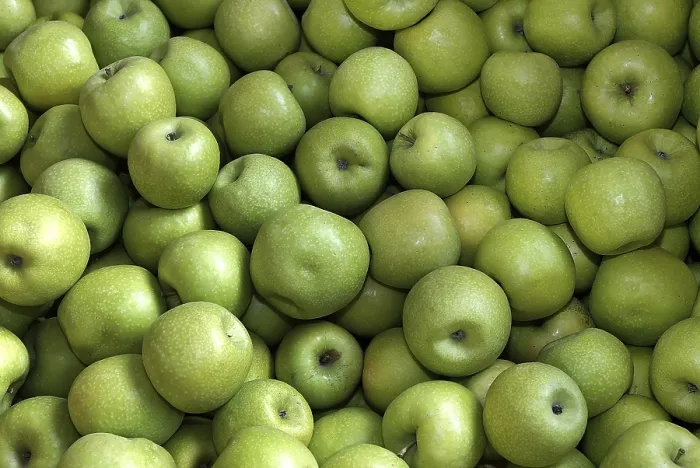 Framed Print : Apples Print by ImageBROKER Framed Print : Apples Print by ImageBROKER