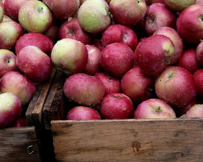 Framed Print : Apples in Box Print