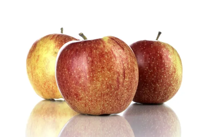 Framed Print : Apples (Malus) Print by imageBROKER Framed Print : Apples (Malus) Print by imageBROKER