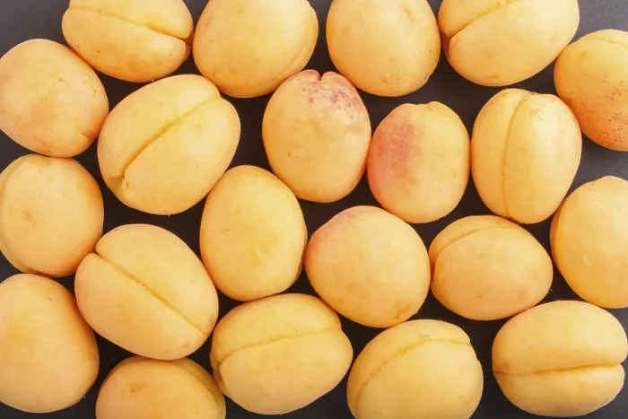 Framed Print : Apricots Print on Black Background, Flat Lay Framed Print : Apricots Print on Black Background, Flat Lay