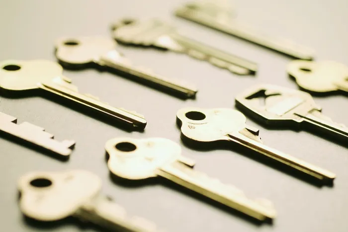Framed Print : Array of Keys Print Framed Print : Array of Keys Print