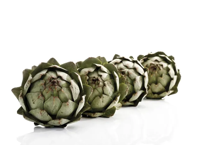 Framed Print : Artichokes Print - Fresh Produce Framed Print : Artichokes Print - Fresh Produce