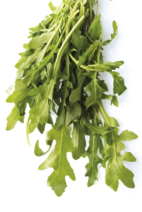 Framed Print : Arugula Print by imageBROKER Framed Print : Arugula Print by imageBROKER
