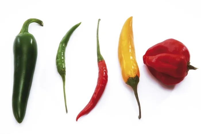 Framed Print : Assorted Hot Peppers Print Framed Print : Assorted Hot Peppers Print