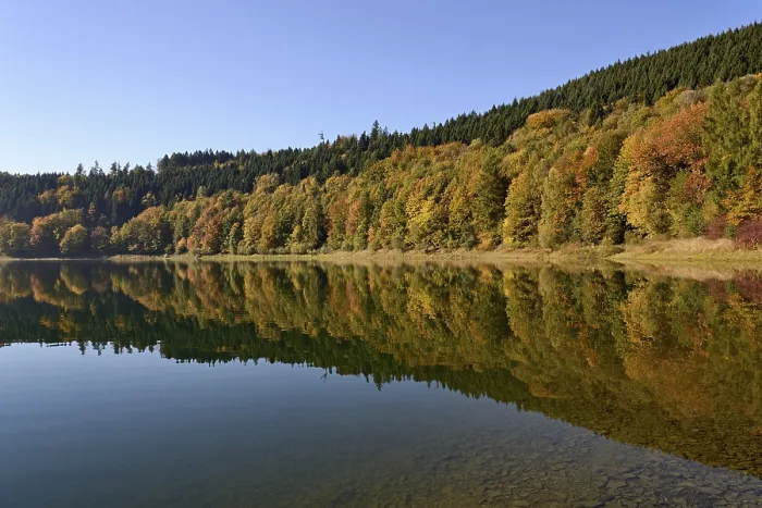 Framed Print : Autumn Forest Reflected in Hennesee Print, Germany Framed Print : Autumn Forest Reflected in Hennesee Print, Germany