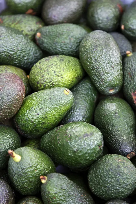 Framed Print : Avocado Print - Close-up of Avocado Fruit