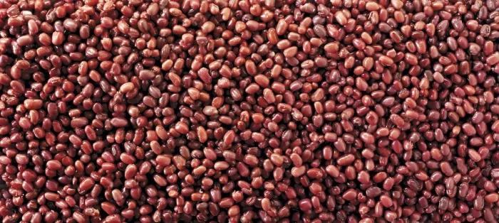 Framed Print : Azuki Bean Print