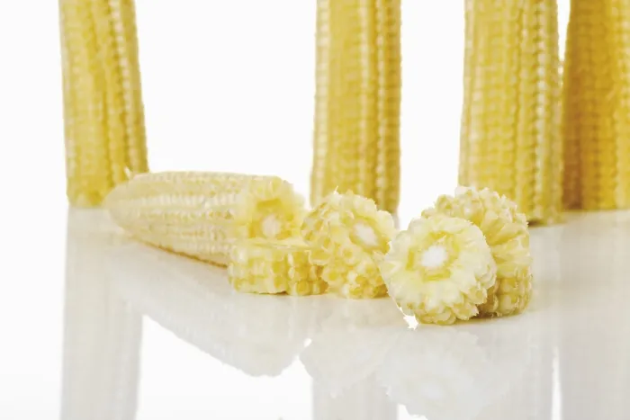 Framed Print : Baby Corn Print Framed Print : Baby Corn Print