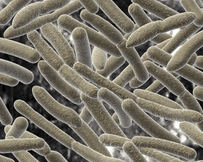 Framed Print : Bacillus Print on Blurred Background Framed Print : Bacillus Print on Blurred Background