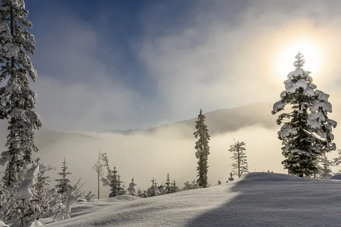 Framed Print : Backlit Winter Mountain Forest Print, Vorarlberg, Austria Framed Print : Backlit Winter Mountain Forest Print, Vorarlberg, Austria