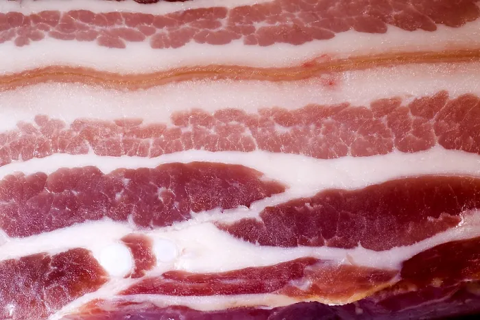 Framed Print : Bacon Print by Bacon Framed Print : Bacon Print by Bacon