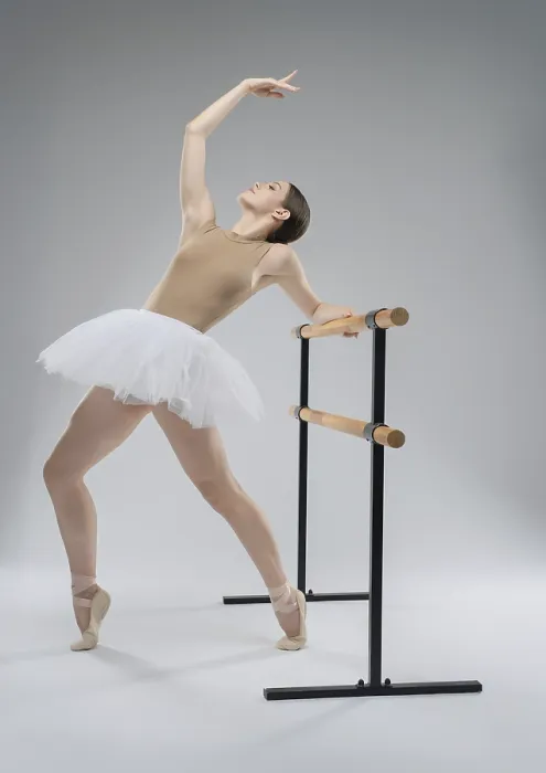 Framed Print : Elegant Ballet Dancer at the Barre Print Framed Print : Elegant Ballet Dancer at the Barre Print
