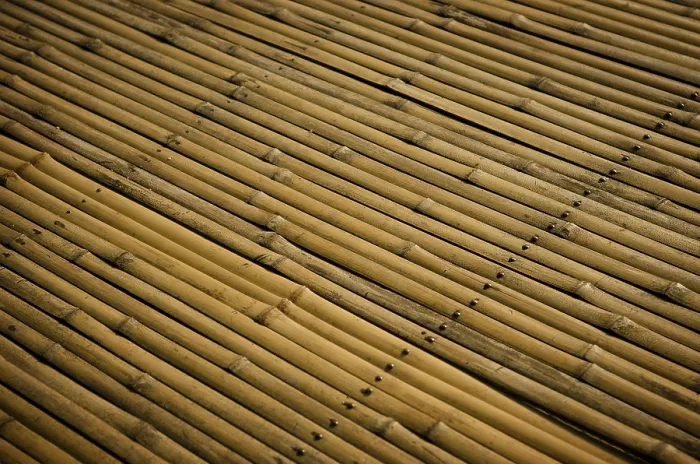 Framed Print : Bamboo Surface Print Framed Print : Bamboo Surface Print
