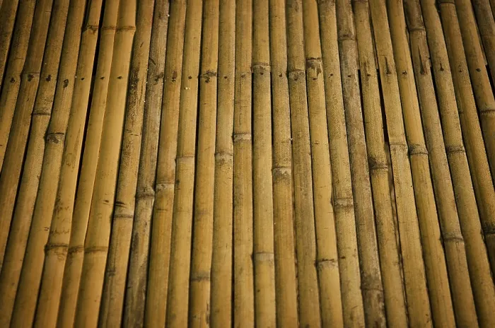 Framed Print : Bamboo Surface Print Framed Print : Bamboo Surface Print