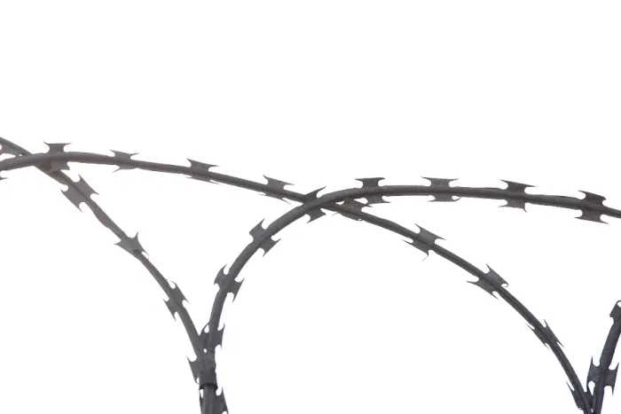 Framed Print : Barbed Wire Print - Coiled Fencing Framed Print : Barbed Wire Print - Coiled Fencing