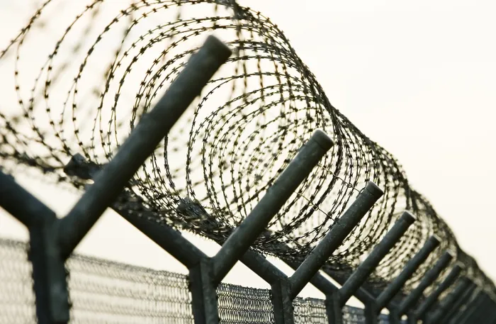 Framed Print : Barbed Wire Print - Coiled Fencing Framed Print : Barbed Wire Print - Coiled Fencing