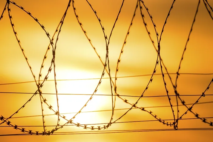 Framed Print : Barbed Wire at Sunset Print, Baden-Wurttemberg, Germany Framed Print : Barbed Wire at Sunset Print, Baden-Wurttemberg, Germany