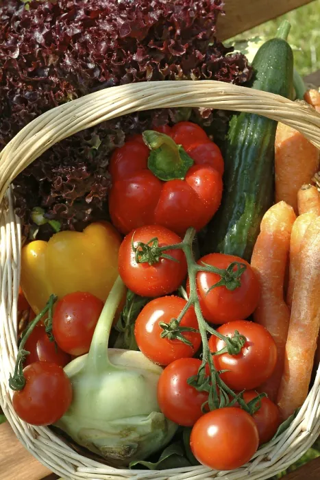 Framed Print : Basket with Vegetables Print Framed Print : Basket with Vegetables Print