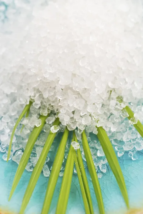 Framed Print : Bath Salt and Palm Leaf Print Framed Print : Bath Salt and Palm Leaf Print