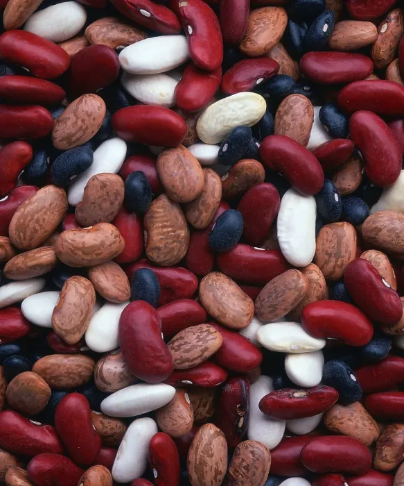 Framed Print : Dune Melange Beans Print Framed Print : Dune Melange Beans Print
