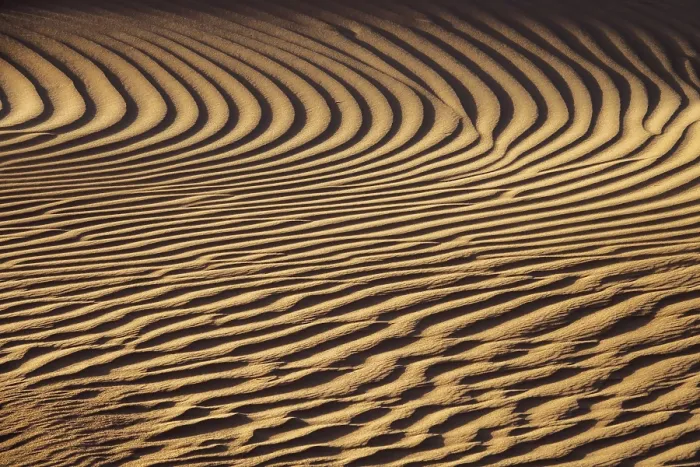 Framed Print : Sahara Desert Sand Dune Print in Wind Framed Print : Sahara Desert Sand Dune Print in Wind